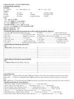 consolidation 1- grade 7th