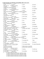 Đề thi hoc sinh giỏi lớp 8