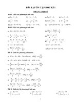 Bai tap on tap hoc ky I -lop 10cb(dai+hinh) new