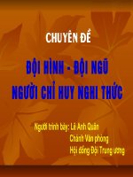 Chuyên đề đội hình đội ngũ - Người chỉ huy nghi thức đội