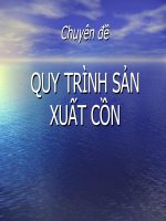 Công nghệ sản xuất rượu
