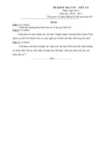 Đề +đáp án.VĂN HỌC