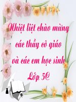 Toán 5- LUYỆN TẬP CHUNG_ Tuần 24
