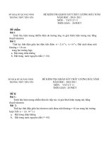 Vật Lý 11: Đề thi - Đáp án KSĐN 2010-2011