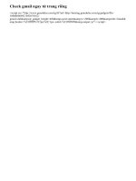 Code Check gmail ngay tu trang rieng