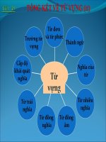 Tổng kết từ vựng (tiết 49)