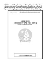 sinh hoạt sao nhi đồng theo chủ điểm