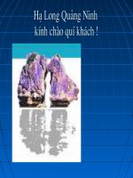 Amoniac NH3 (Nang cao)