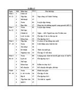 GIÁO ÁN LỚP 5  2008-2009 TUẦN 17