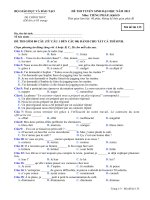 ĐỀ THI TUYỂN SINH ĐẠI HỌC NĂM 2013 Môn: TIẾNG PHÁP; Khối D mã đề  135