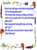 sự sinh sản của động vật