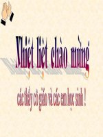 Phong trào  Xô Viết Nghệ Tĩnh