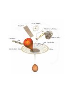 VŨ TRỤ TRONG MỘT VỎ HẠT - stephen william hawking phần 1