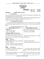 Giáo án iop 5 tuần 8