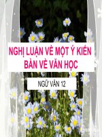 Nghị luận bàn về ý kiến văn học