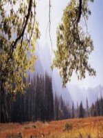 Tiết 29-Thuật ngữ