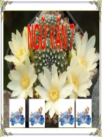 tiet 25 Banh troi nuoc