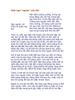 Giấc ngủ ngược của dơi