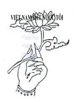 viet nam dat nuoc