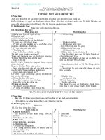 G.án lop4 tuần 4 chuan KTKN