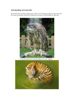 Ảnh đẹp tuần 1