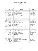 GAL2-T7-CKT+BVMT+TTHCM...