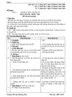 Giáo án Mỹ thuật cả năm L3