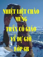 TÁC ĐỘNG CỦA NỘI LUẠC LÊN BỀ MẶT TRÁI ĐẤT