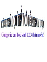 đặc điểm thích nghi