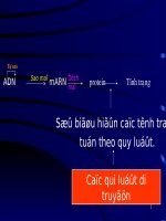 Men den va di truyen hoc