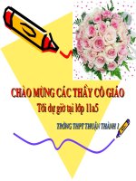 Dòng Fucô (GA thi GV giỏi tỉnh 2009)