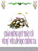Tình cảnh lẻ loi của người chinh phụ(GVG)