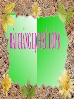 BÀI 4: Phong trào công nhân