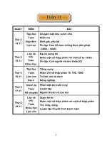 Tuần 11 (Lớp 5)