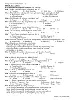 On tap KT45''''(so 1) Hoa Hung