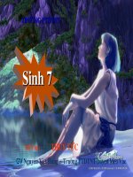 tiết 8 thủy tức