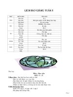 ga lớp 1 soạn theo CKTKN