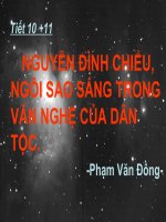 Nguyễn Đình chiểu, ngôi sao sáng trong văn nghệ của dân tộc