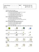 Đề kiểm tra GKI Tin học 4 (HOT)