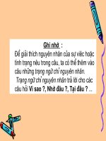 Trạng ngữ chỉ nguyên nhân