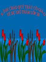 Luyện từ & Câu: SO SÁNH, DẤU CHẤM