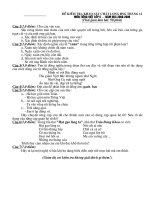 đề KT học sinh giỏi l5