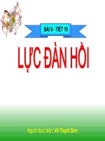 luc dan hoi GVDG