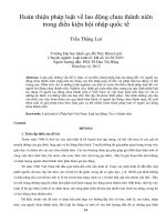 Hoàn thiện pháp luật về lao động chưa thành niên  trong điều kiện hội nhập quốc tế
