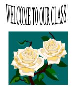 E10-UNIT 2-E.LANGUAGE FOCUS