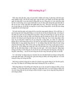 Môi trường là gì