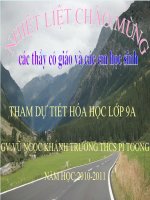 Tiet 12.Mot so bazo quan trong.ppt