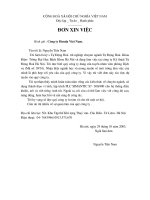 Đơn xin việc 9 (VN)