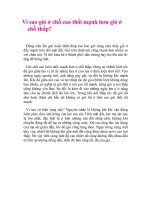 Vì sao gió ở chỗ cao thổi mạnh hơn gió ở chỗ thấp.doc