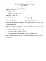 Đề KSCL lớp 9 năm học 2009 - 2010